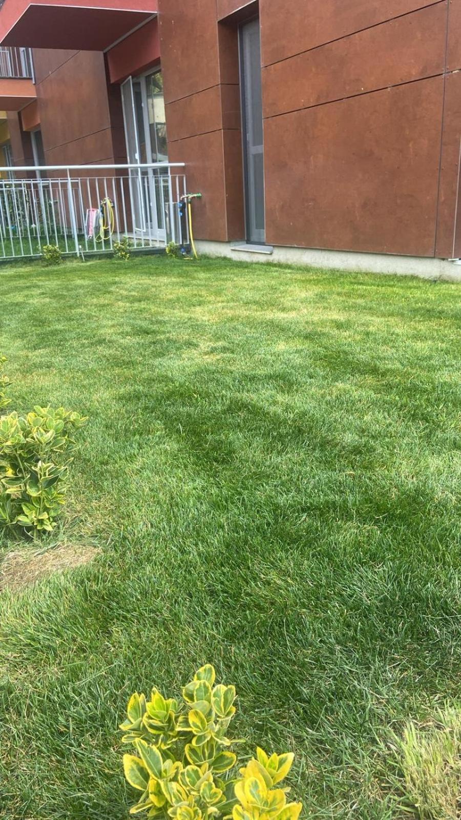 Dream Garden Apartment With Free Parking Sinaia Exterior foto